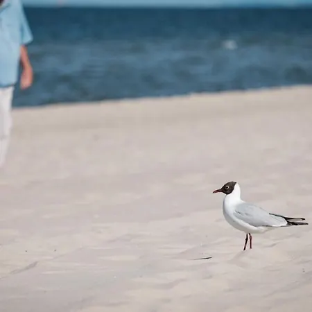Апартаменты Bernstein-fewos Ca 15 Gehminuten Zum Ostseestrand *